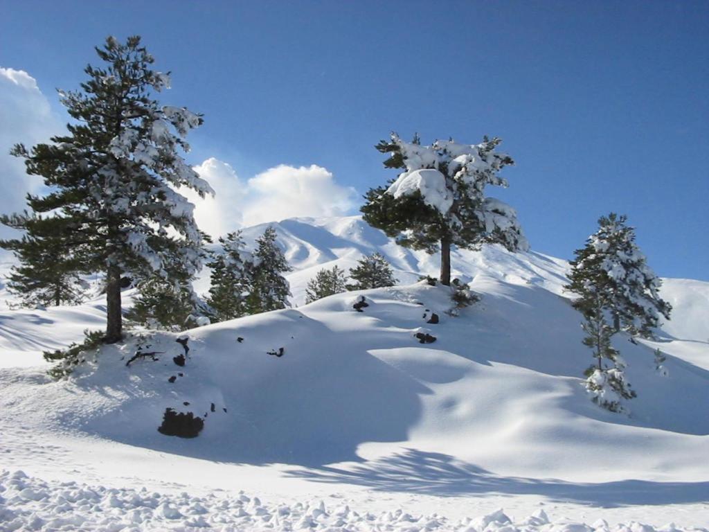 Appartement Etna Snow&Sea à Piedimonte Etneo Extérieur photo